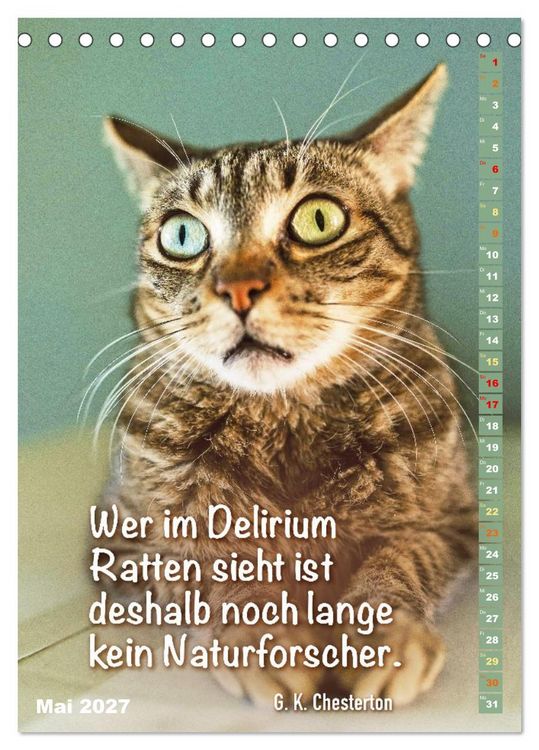 Produktbild: Der literarische Katerkalender (Tischkalender 2027 DIN A5 hoch), CALVENDO Monatskalender