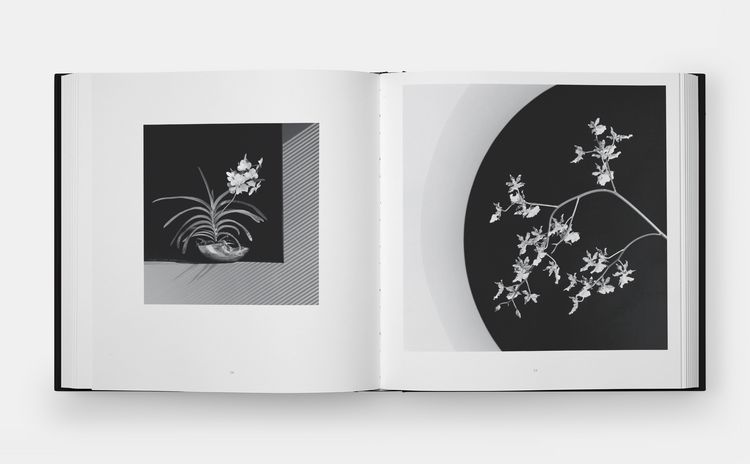 Produktbild: Mapplethorpe Flora: The Complete Flowers (2024)