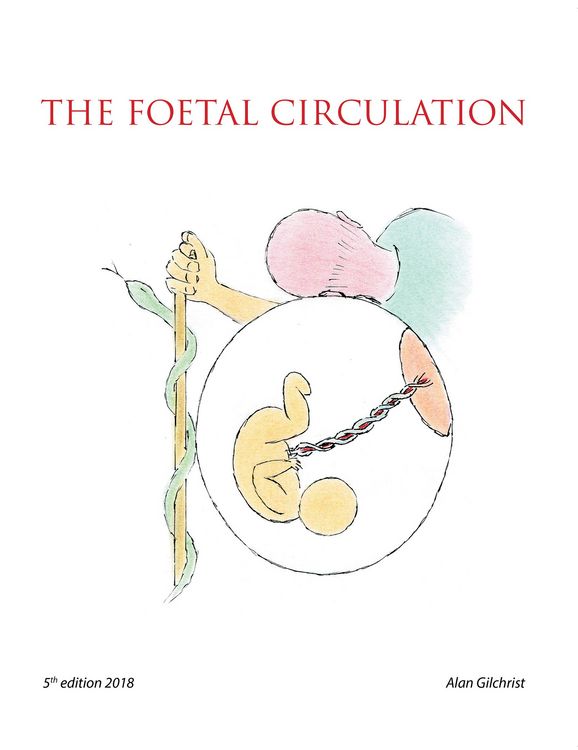 Produktbild: The Foetal Circulation