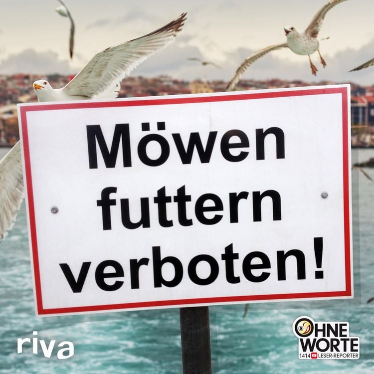 Produktbild: M&ouml;wen futtern verboten