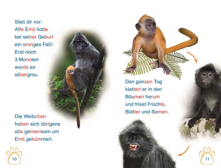 Produktbild: SUPERLESER! Nachwuchs bei uns im Zoo