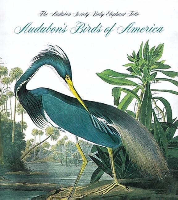Produktbild: Audubon's Birds of America