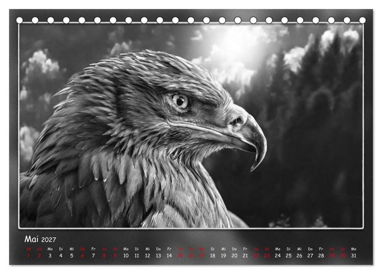 Produktbild: Tieren ins Gesicht geschaut (Tischkalender 2027 DIN A5 quer), CALVENDO Monatskalender