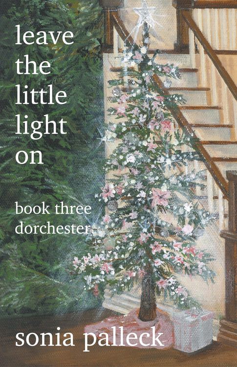 Produktbild: Leave the Little Light On, Book Three