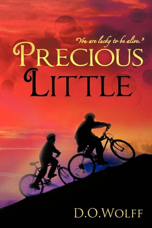 Produktbild: Precious Little