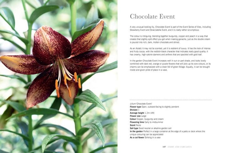 Produktbild: Lilies