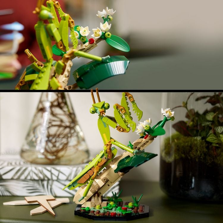 Produktbild: LEGO Ideas 21342 Die Insektensammlung, 3 Insekten-Modelle mit Schmetterling
