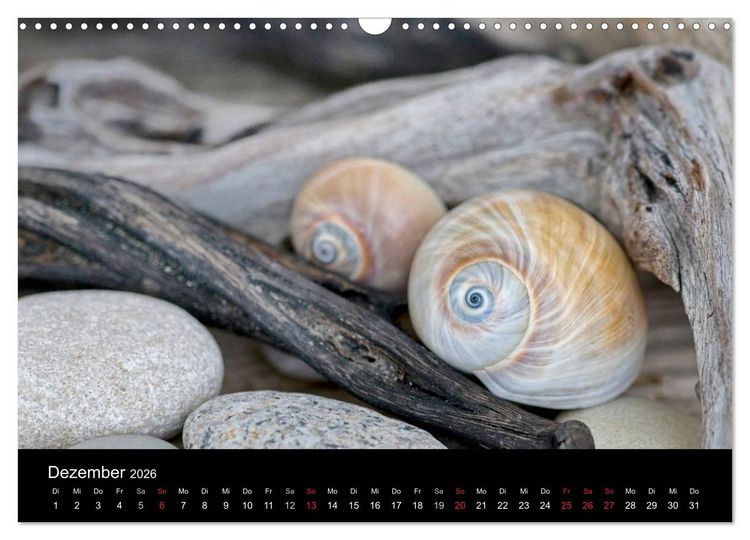 Produktbild: Strandgut und Meer 2026 (Wandkalender 2026 DIN A3 quer), CALVENDO Monatskalender
