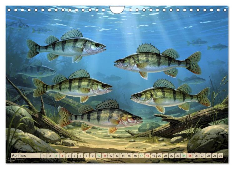 Produktbild: Talsperren - Raubfische (Wandkalender 2027 DIN A4 quer), CALVENDO Monatskalender