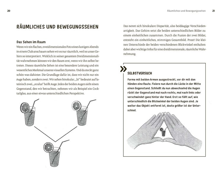 Faszination Auge