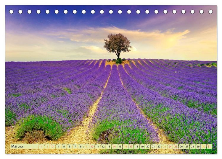 Produktbild: Traum-Ziele - Lavendel der Provence, Frankreich (Tischkalender 2026 DIN A5 quer), CALVENDO Monatskalender