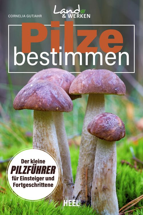 Produktbild: Pilze bestimmen - Der kleine Pilzf&uuml;hrer f&uuml;r Einsteiger und Fortgeschrittene