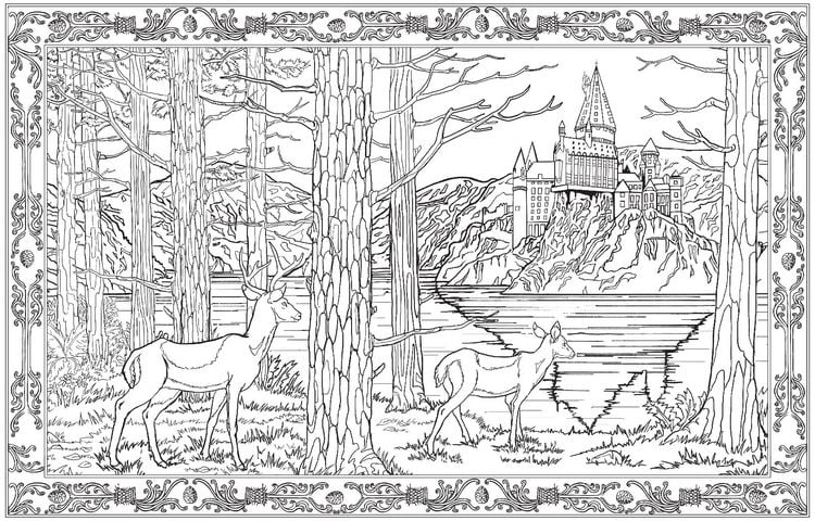 Produktbild: Harry Potter: Magisches Malbuch