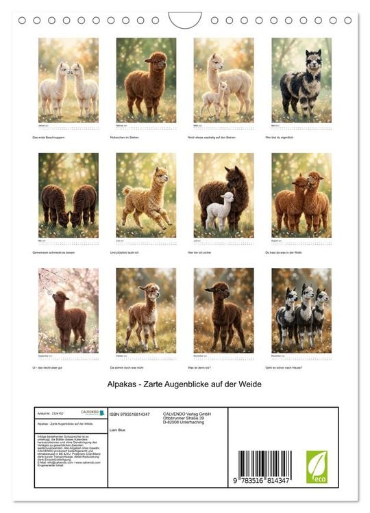 Produktbild: Alpakas - Zarte Augenblicke auf der Weide (Wandkalender 2027 DIN A4 hoch), CALVENDO Monatskalender