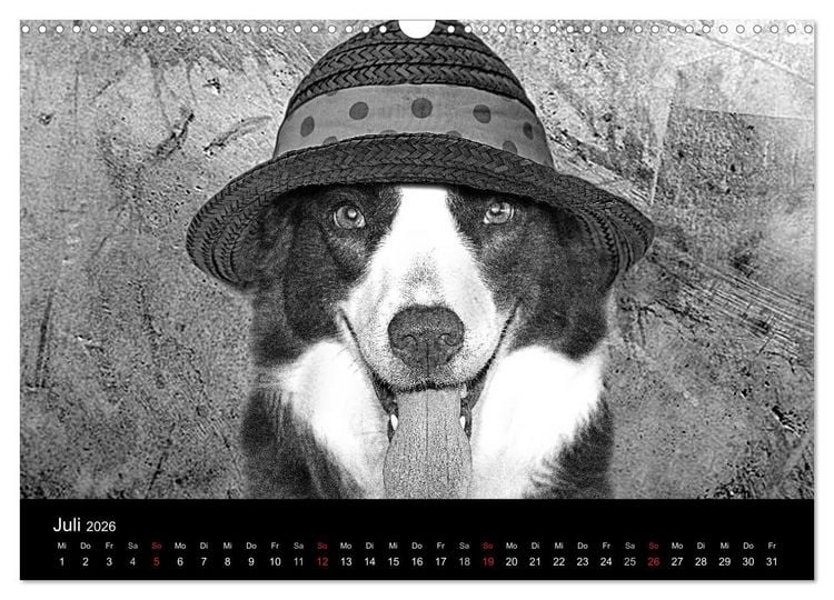 Produktbild: H&uuml;tehunde (Wandkalender 2026 DIN A3 quer), CALVENDO Monatskalender