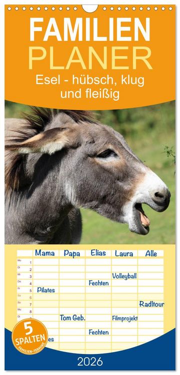 Produktbild: Familienplaner 2026 - Esel - h&uuml;bsch, klug und flei&szlig;ig mit 5 Spalten (Wandkalender, 21 x 45 cm) CALVENDO