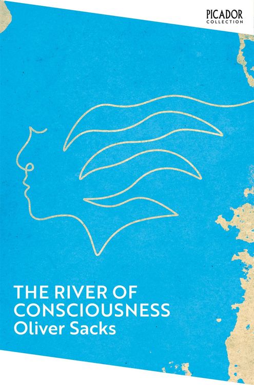 Produktbild: The River of Consciousness