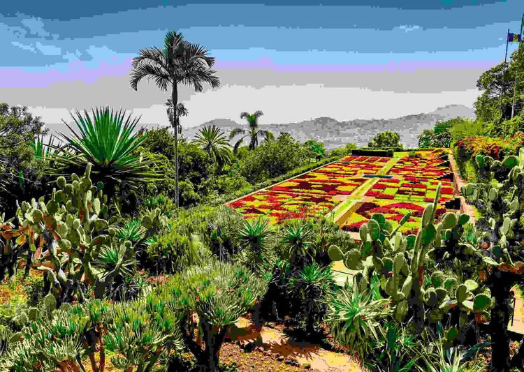 Produktbild: Erwachsenenpuzzle 1000 Teile - Botanischer Garten, Madeira