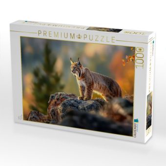 Produktbild: CALVENDO Puzzle Luchs | 1000 Teile Lege-Gr&ouml;&szlig;e 64x48cm Foto-Puzzle f&uuml;r gl&uuml;ckliche Stunden
