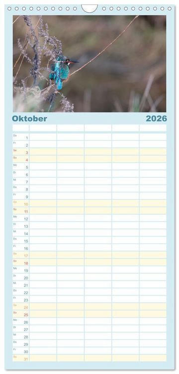 Produktbild: Familienplaner 2026 - Eisvogel im Portr&auml;t mit 5 Spalten (Wandkalender, 21 x 45 cm) CALVENDO