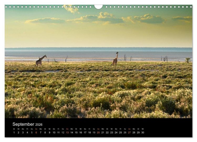 Produktbild: Namibia: Ein Traum von sanftem Licht und unendlicher Weite (Wandkalender 2026 DIN A3 quer), CALVENDO Monatskalender