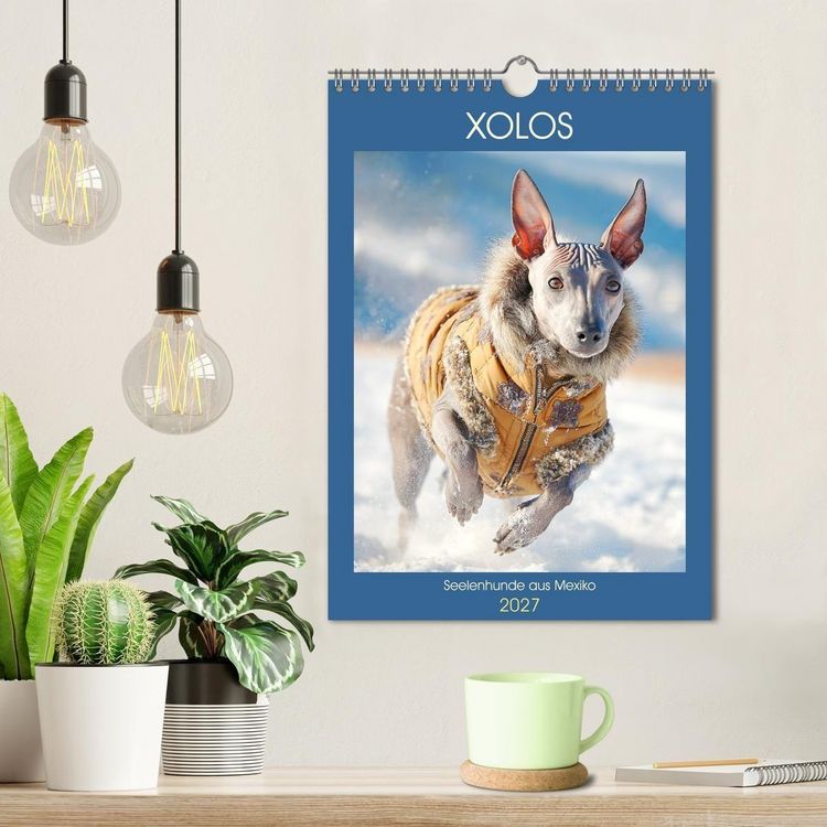Produktbild: Xolos. Seelenhunde aus Mexiko (Wandkalender 2027 DIN A4 hoch), CALVENDO Monatskalender
