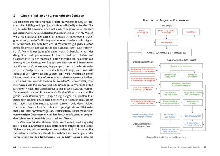 Produktbild: Das fehlende Narrativ