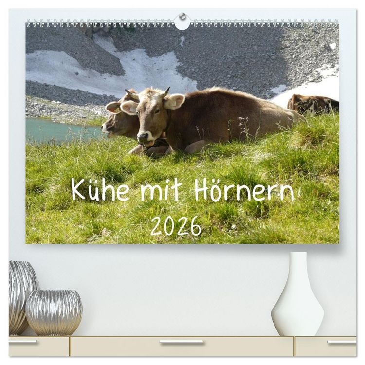Produktbild: K&uuml;he mit H&ouml;rnern (hochwertiger Premium Wandkalender 2026 DIN A2 quer), Kunstdruck in Hochglanz