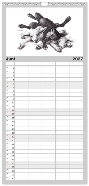 Produktbild: Familienplaner 2027 - TIERONISCH mit 5 Spalten (Wandkalender, 21 x 45 cm) CALVENDO