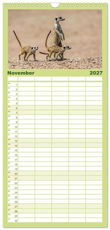 Produktbild: Familienplaner 2027 - Afrikas Tierwelt - Erdm&auml;nnchen mit 5 Spalten (Wandkalender, 21 x 45 cm) CALVENDO