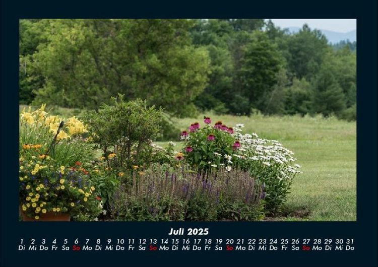 Produktbild: Blumenkalender 2025 Fotokalender DIN A4
