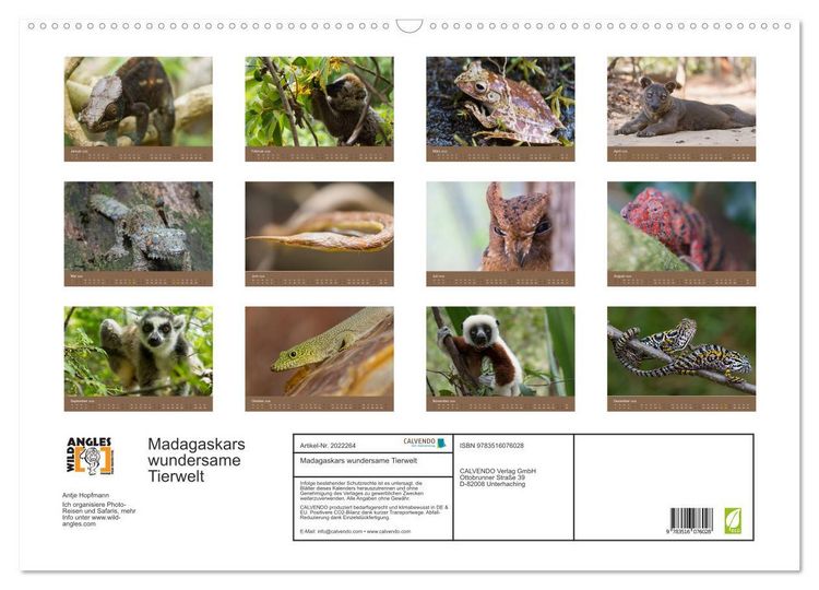 Produktbild: Madagaskars wundersame Tierwelt (Wandkalender 2026 DIN A2 quer), CALVENDO Monatskalender