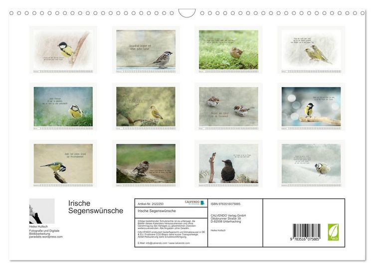Produktbild: Irische Segensw&uuml;nsche (Wandkalender 2026 DIN A3 quer), CALVENDO Monatskalender