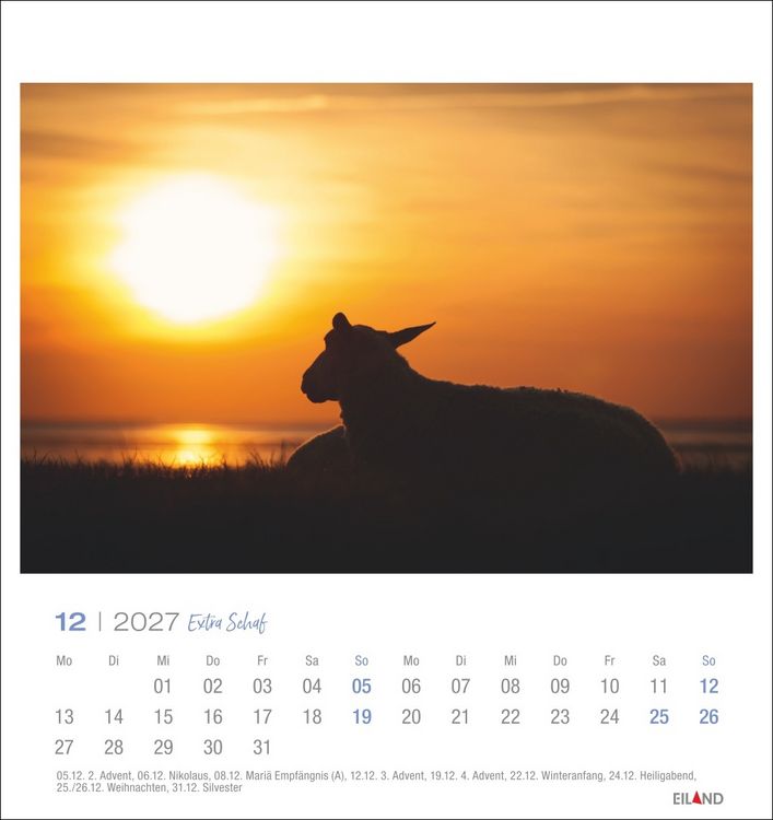 Produktbild: Extra Schaf Postkartenkalender 2027