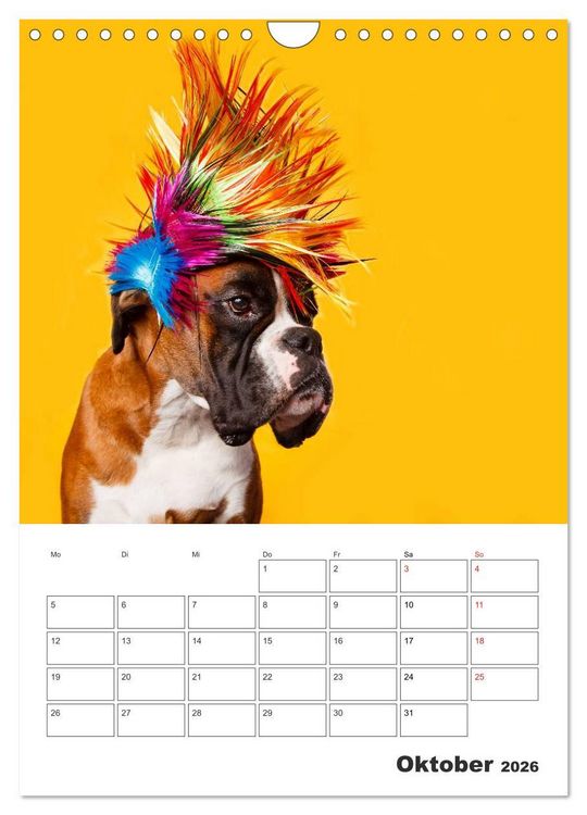 Produktbild: colorful world of boxer 2026 (Wandkalender 2026 DIN A4 hoch), CALVENDO Monatskalender
