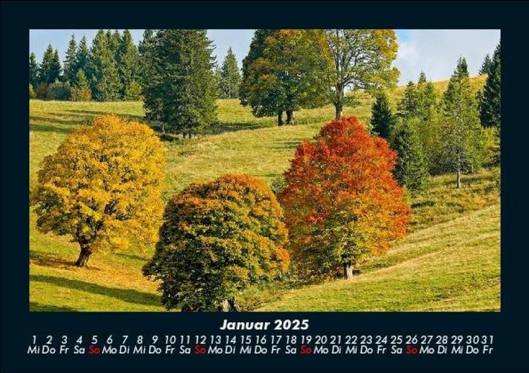 Produktbild: B&auml;ume 2025 Fotokalender DIN A5