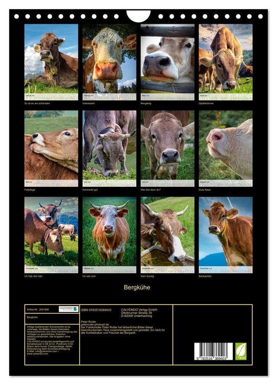 Produktbild: Bergk&uuml;he (Wandkalender 2026 DIN A4 hoch), CALVENDO Monatskalender