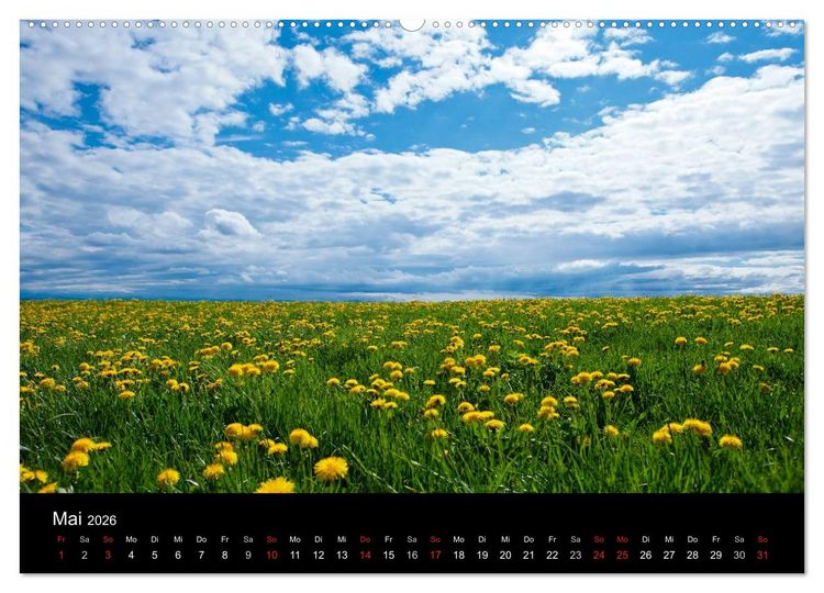 Produktbild: Farben der Natur (hochwertiger Premium Wandkalender 2026 DIN A2 quer), Kunstdruck in Hochglanz