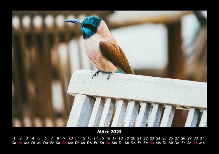 Produktbild: Vogelparadies 2025 Fotokalender DIN A3