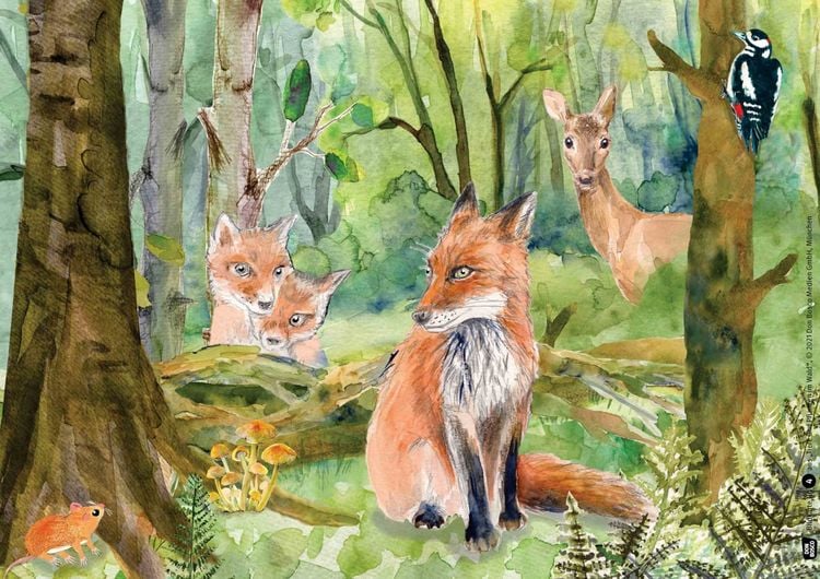 Produktbild: Tiere und Pflanzen im Wald. Kamishibai Bildkartenset