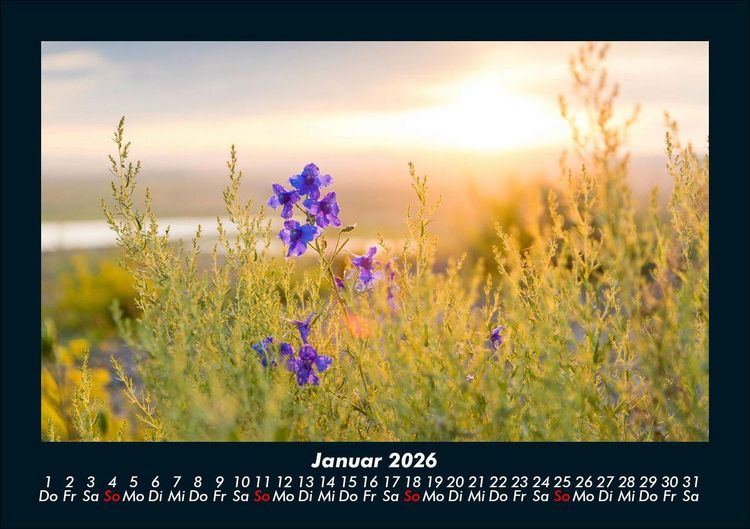 Produktbild: Blumenkalender 2026 Fotokalender DIN A5