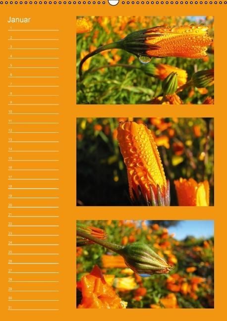 Produktbild: Zauberwelt der Blumen - Eiskristalle & Wasserperlen / Geburtstagskalender (Wandkalender immerw&auml;hrend DIN A2 hoch)