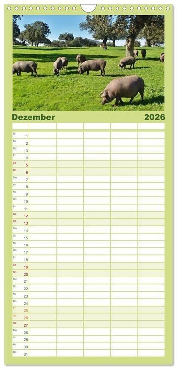 Produktbild: Familienplaner 2026 - Extremadura Spanien mit 5 Spalten (Wandkalender, 21 x 45 cm) CALVENDO
