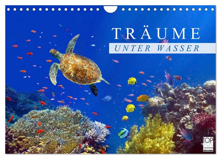 Produktbild: Tr&auml;ume unter Wasser (Wandkalender 2026 DIN A4 quer), CALVENDO Monatskalender