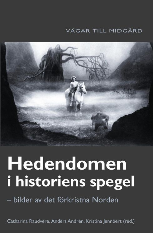 Produktbild: Hedendomen i historiens spegel
