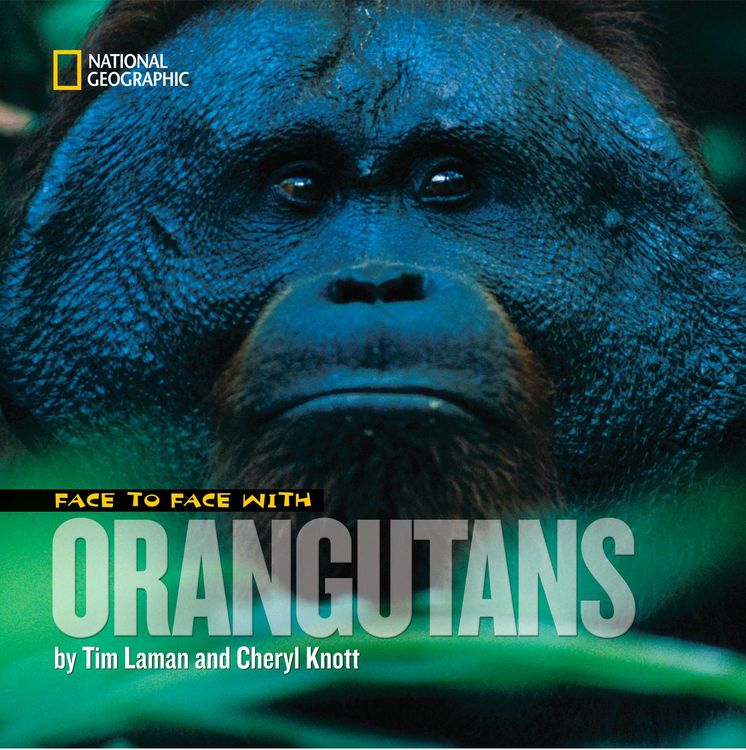 Produktbild: Laman, T: Face to Face with Orangutans