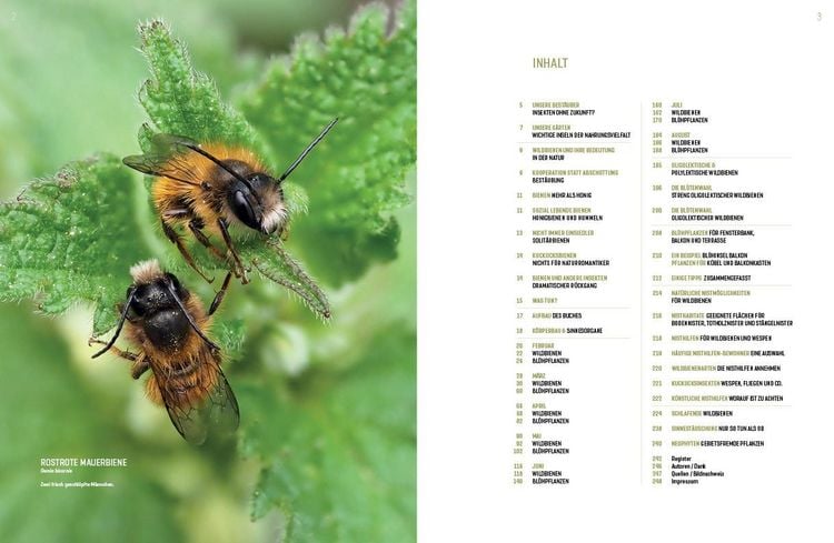 Produktbild: Wildbienenhelfer