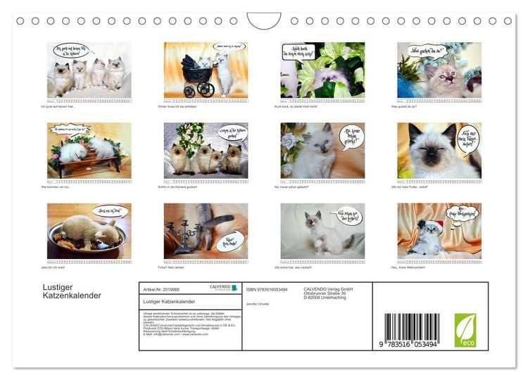 Produktbild: Lustiger Katzenkalender (Wandkalender 2026 DIN A4 quer), CALVENDO Monatskalender