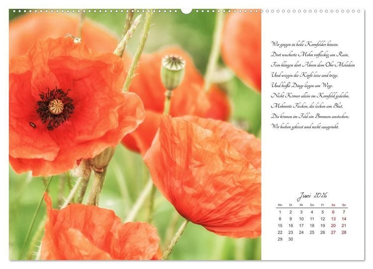 Produktbild: Max Dauthendey - Mit der Natur durchs Jahr (Wandkalender 2026 DIN A2 quer), CALVENDO Monatskalender
