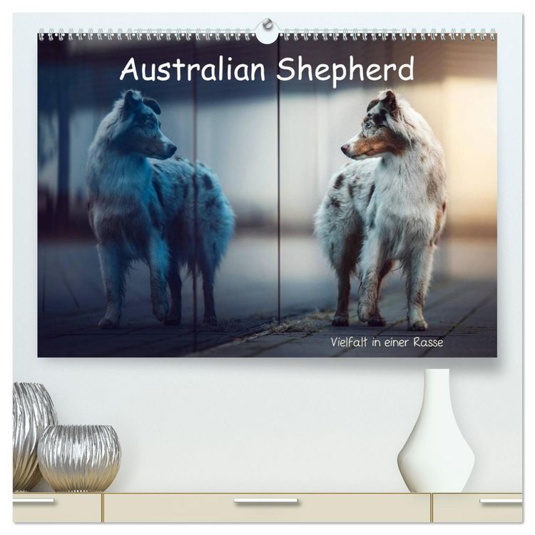 Produktbild: Australian Shepherd - Vielfalt in einer Rasse (hochwertiger Premium Wandkalender 2026 DIN A2 quer), Kunstdruck in Hochglanz